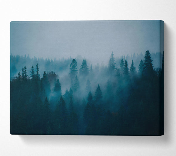  A Canvas Print of Blue Forest Fog Canvas Wall Art