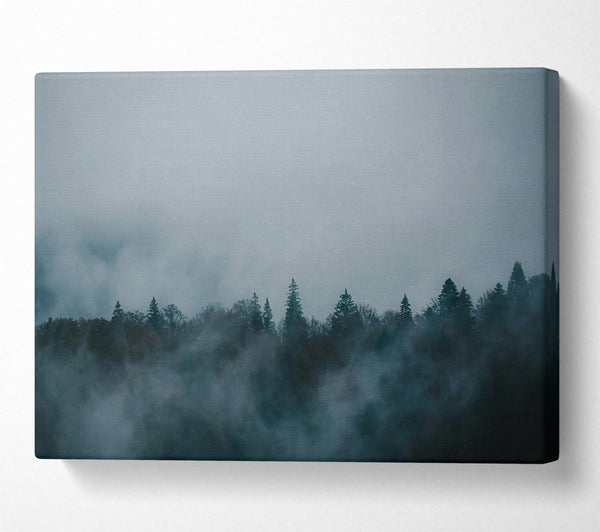  A Canvas Print of Blue Foggy Forest Canvas Wall Art