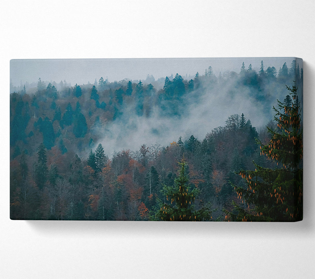  A Canvas Print of Misty Teal Forest Canvas Art