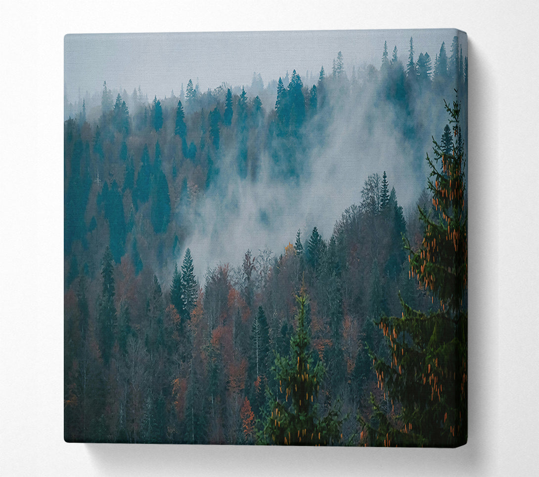  A Canvas Print of Misty Teal Forest Canvas Art