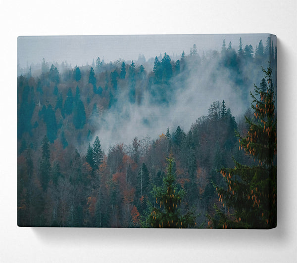  A Canvas Print of Misty Teal Forest Canvas Art