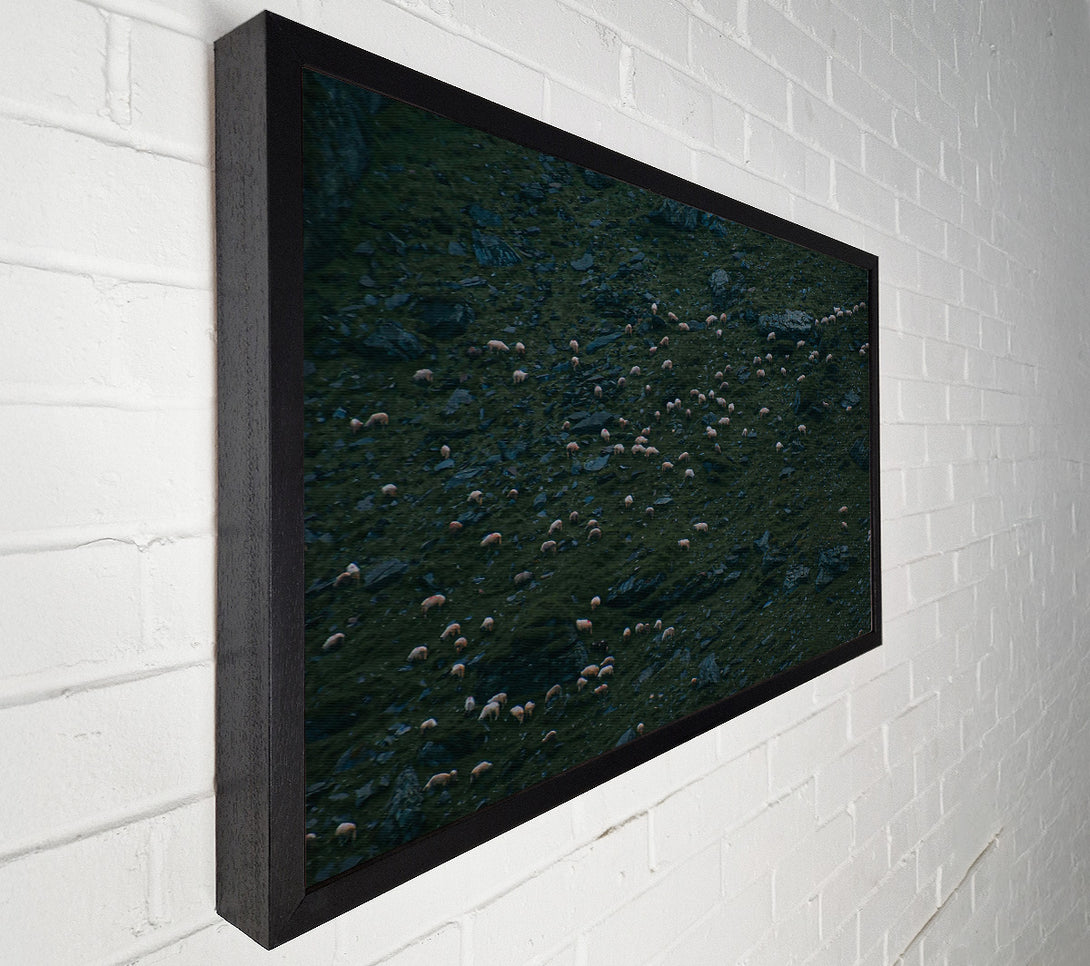  A Canvas Print of Green Hill Flock Canvas Art