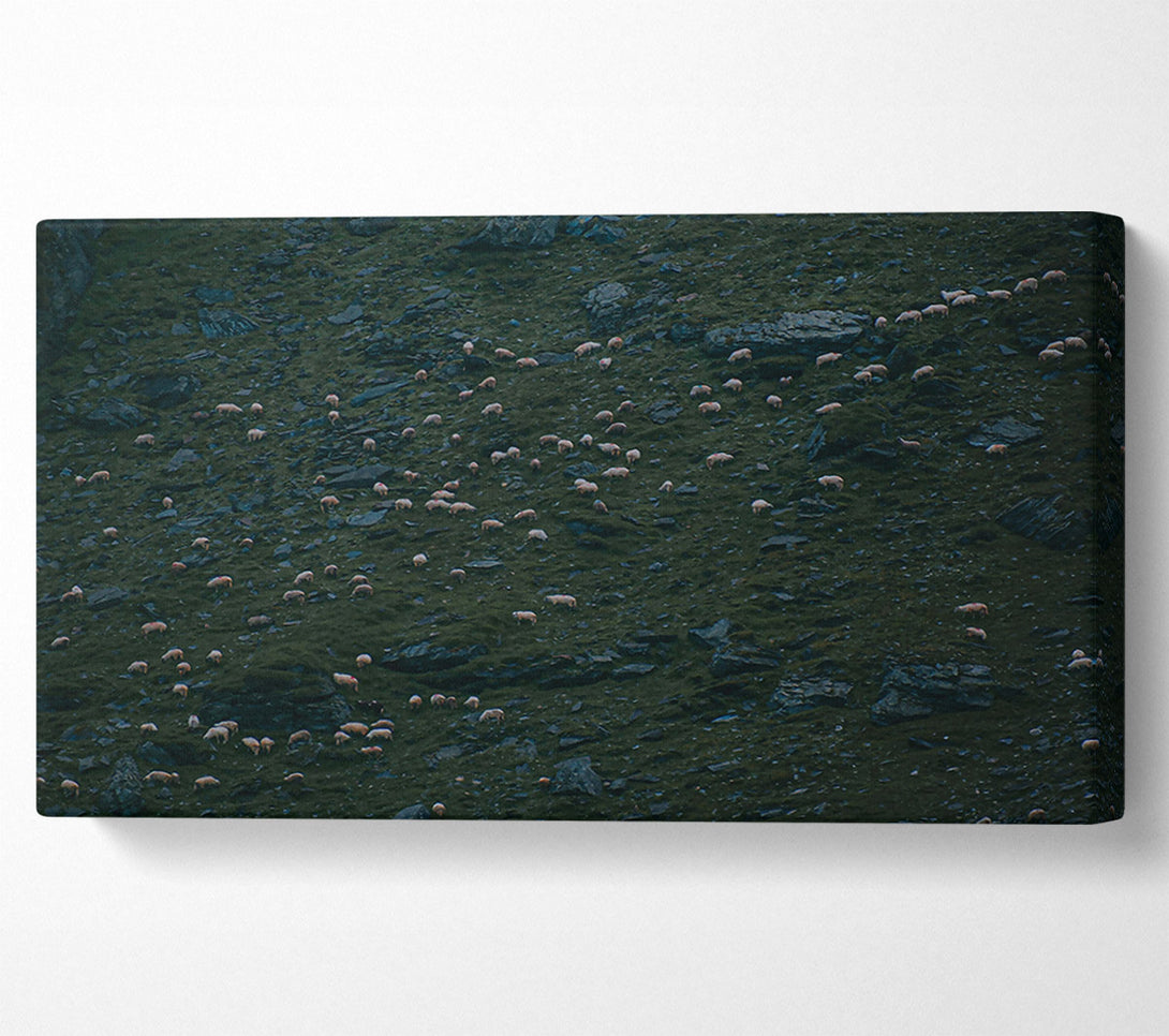  A Canvas Print of Green Hill Flock Canvas Art