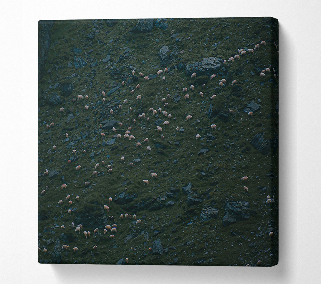  A Canvas Print of Green Hill Flock Canvas Art