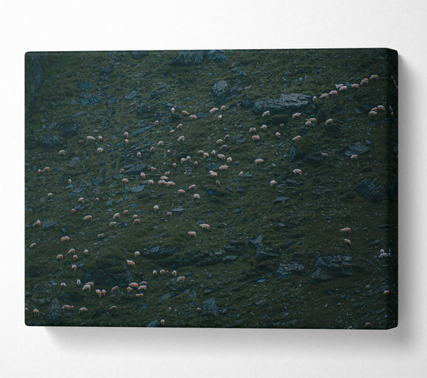  A Canvas Print of Green Hill Flock Canvas Art