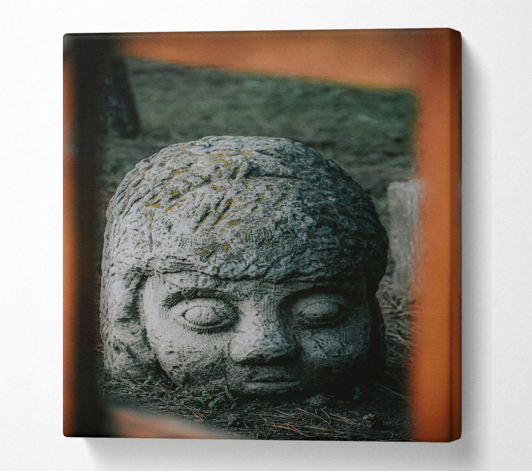  A Canvas Print of Stone Grey Gaze Canvas Art