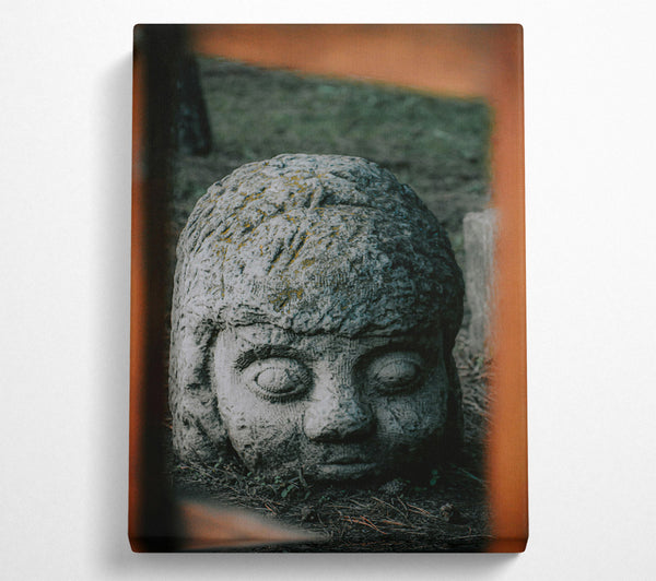  A Canvas Print of Stone Grey Gaze Canvas Art