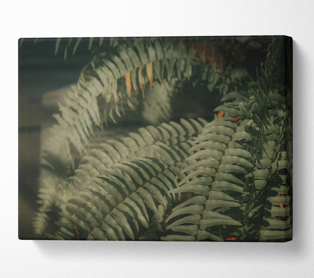  A Canvas Print of Emerald Fern Fronds Canvas Art