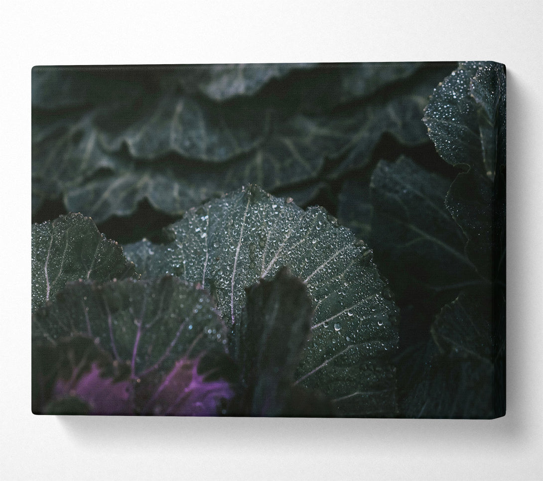  A Canvas Print of Emerald Dew Drops Canvas Wall Art