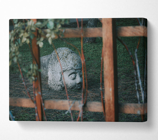  A Canvas Print of Stone Face In Green Canvas Print