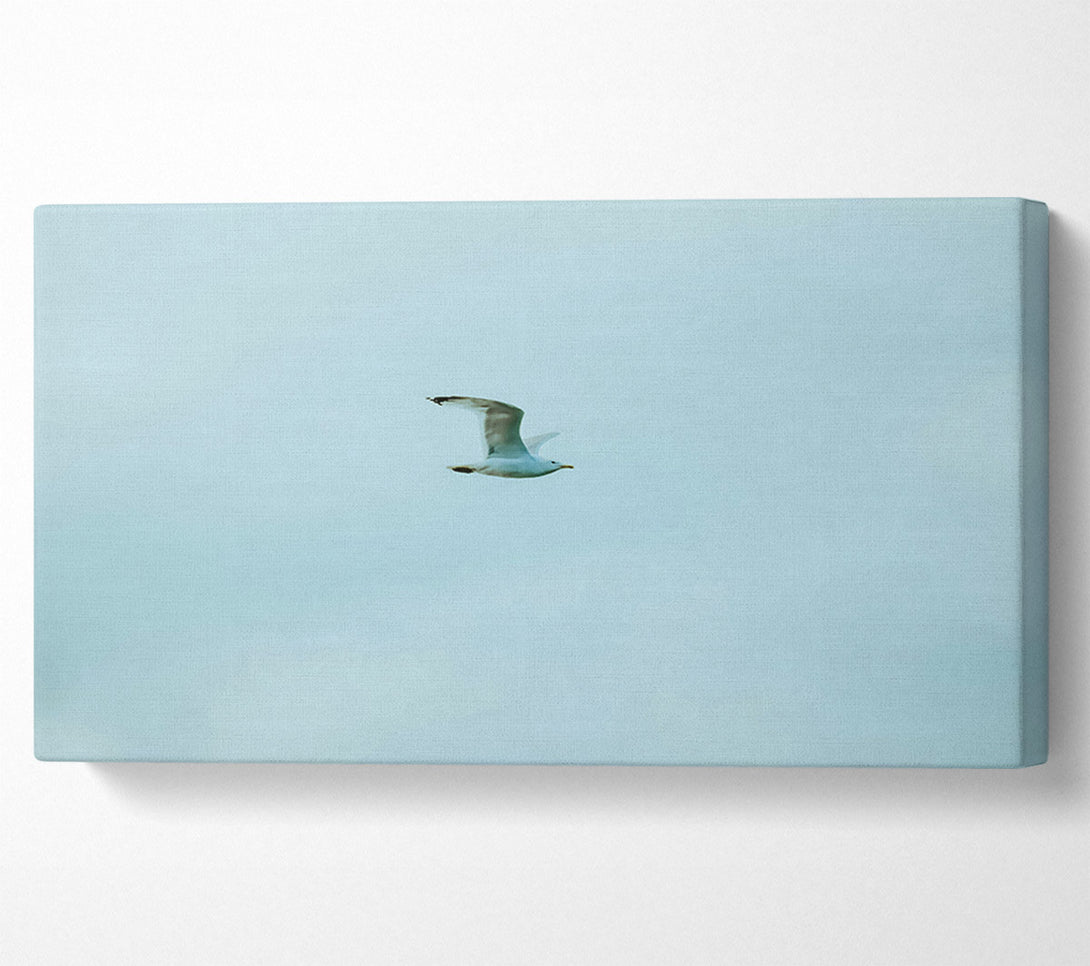  A Canvas Print of Pale Blue Freedom Canvas Print