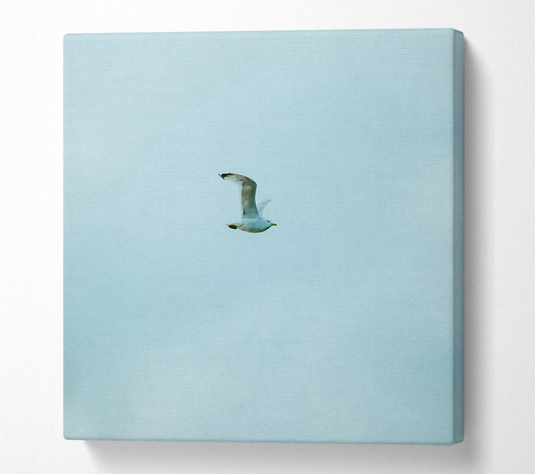  A Canvas Print of Pale Blue Freedom Canvas Print