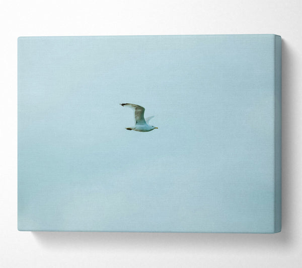 A Canvas Print of Pale Blue Freedom Canvas Print