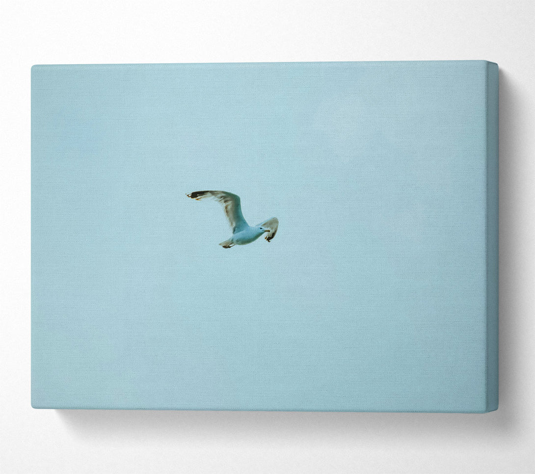  A Canvas Print of Blue Sky Flight Canvas Wall Art