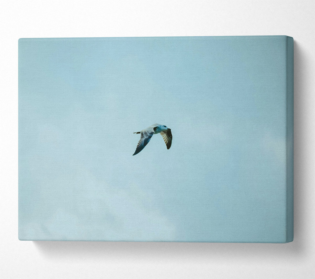  A Canvas Print of Blue Sky Soaring Canvas Wall Art