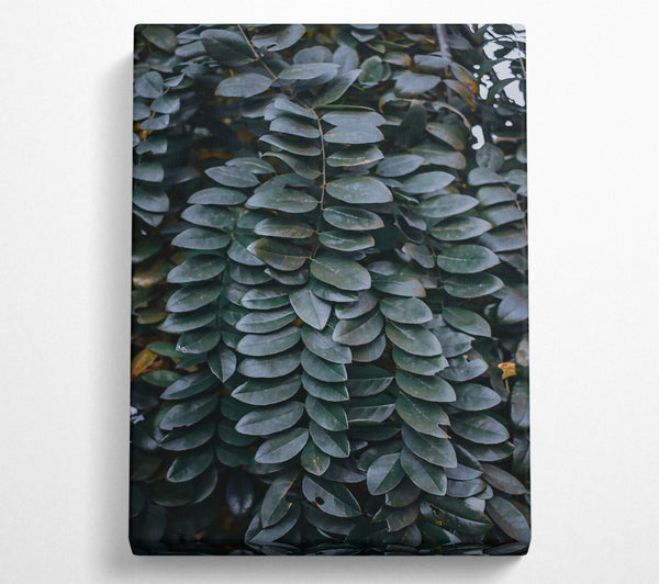  A Canvas Print of Emerald Leaf Cascade Canvas Wall Art