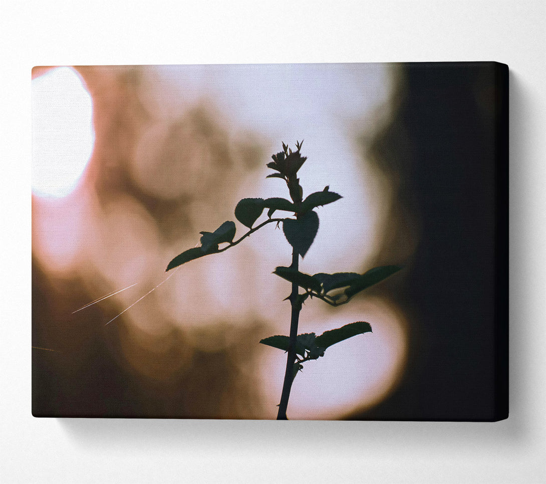  A Canvas Print of Golden Hour Silhouette Canvas Wall Art