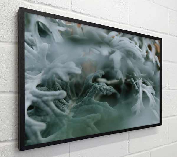 Silver Green Embrace