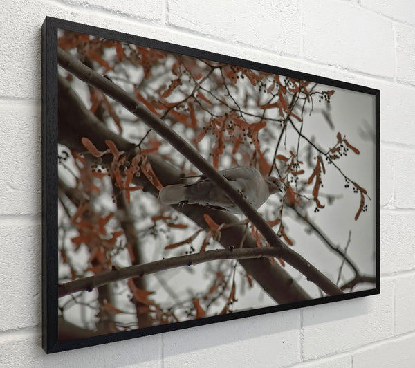 Brown Branch Bird