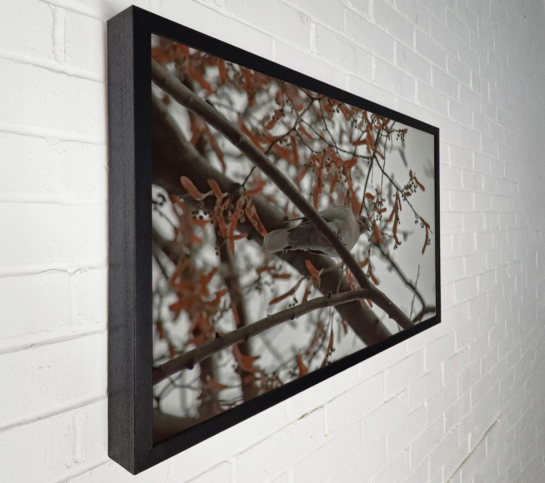  A Canvas Print of Brown Branch Bird Canvas Art