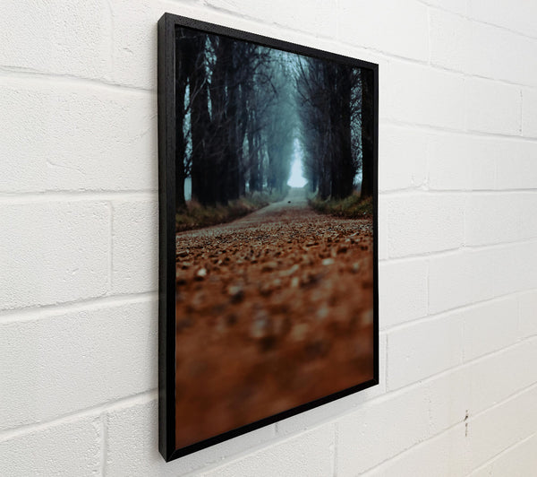 Brown Forest Road