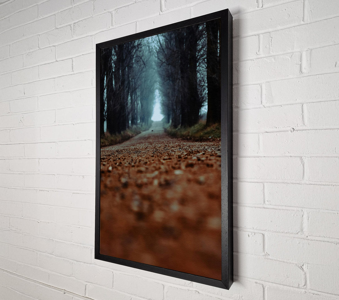 A Canvas Print of Brown Forest Road Canvas Print
