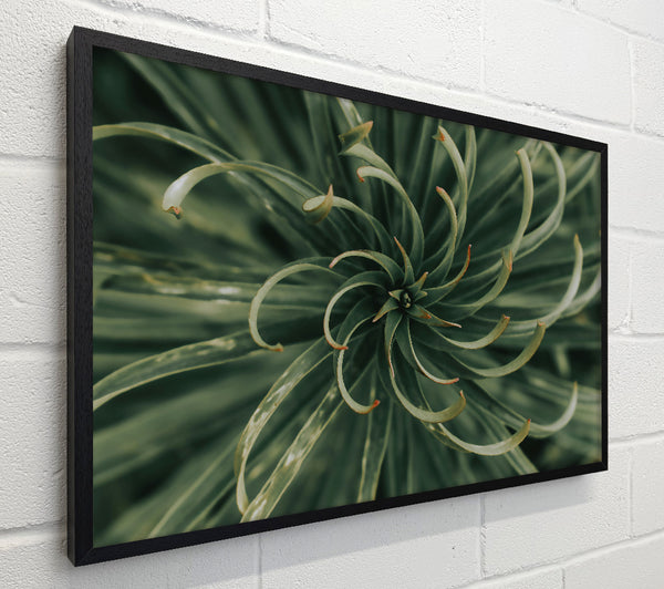 Emerald Green Spiral