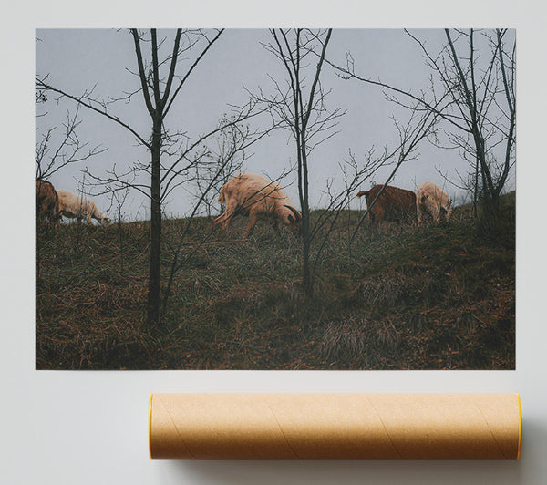 Brown & White Grazing Giclee Print