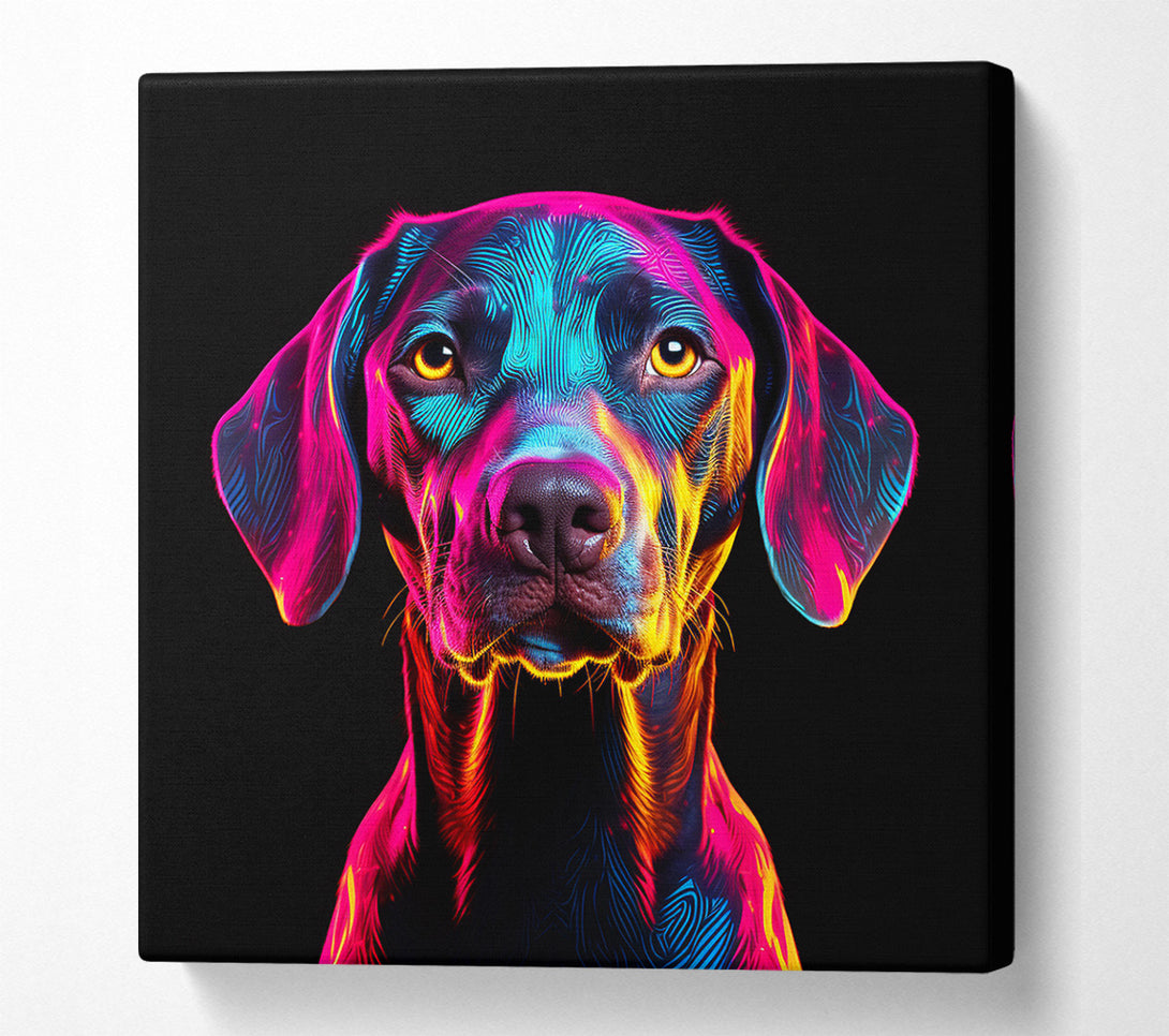  A Canvas Print of Neon Dog Canvas Art