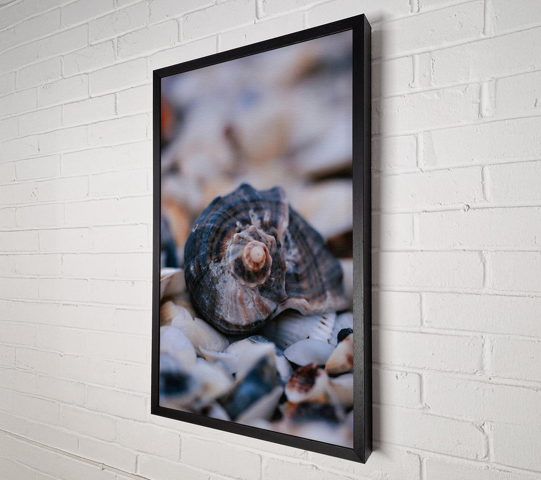  A Canvas Print of The Grey Seashell Nest Canvas Print