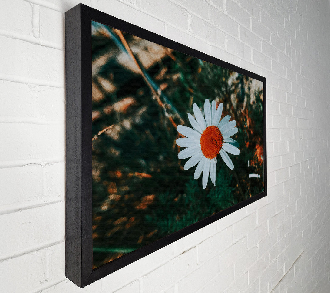  A Canvas Print of Orange Center Bloom Canvas Art