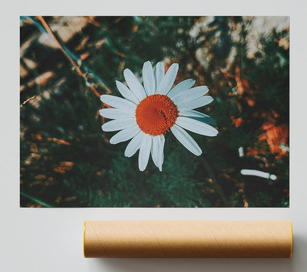 Orange Center Bloom Giclee Print