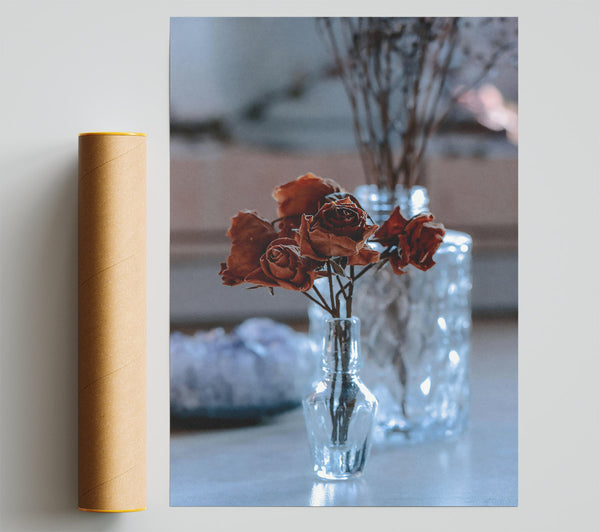 Brown Roses In Glass Poster