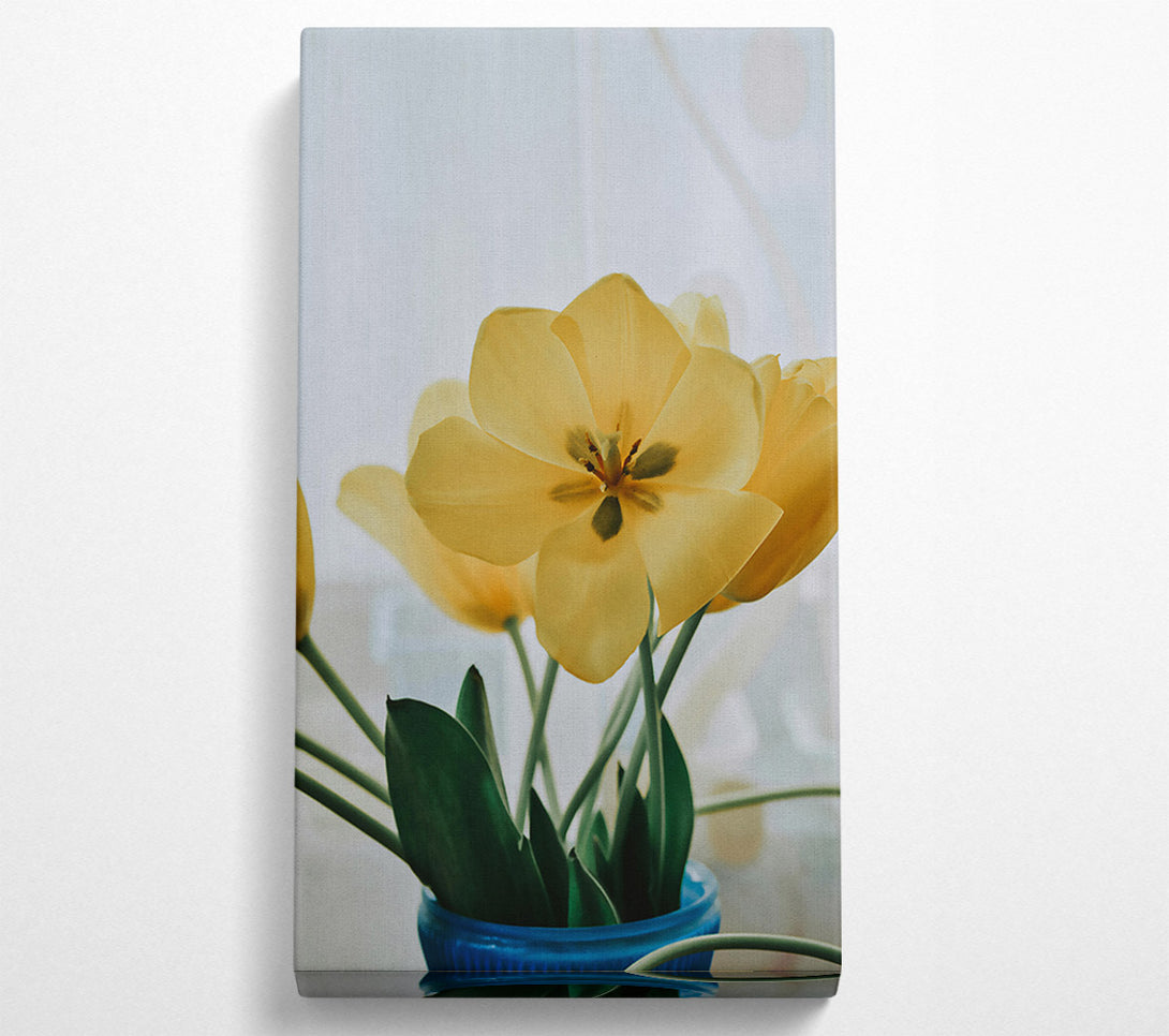  A Canvas Print of Pale Yellow Tulips Canvas Art