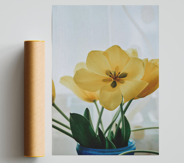 Pale Yellow Tulips Giclee Print