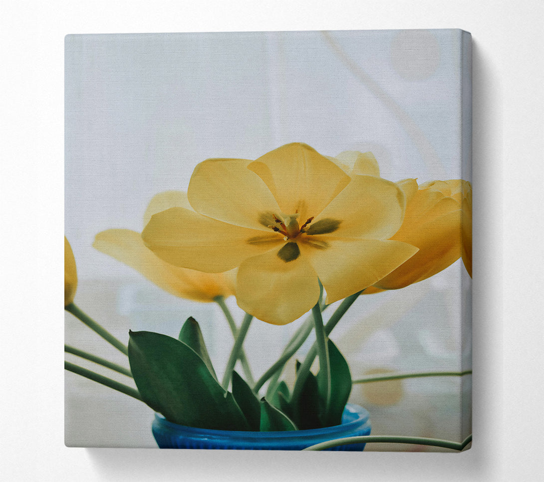  A Canvas Print of Pale Yellow Tulips Canvas Art