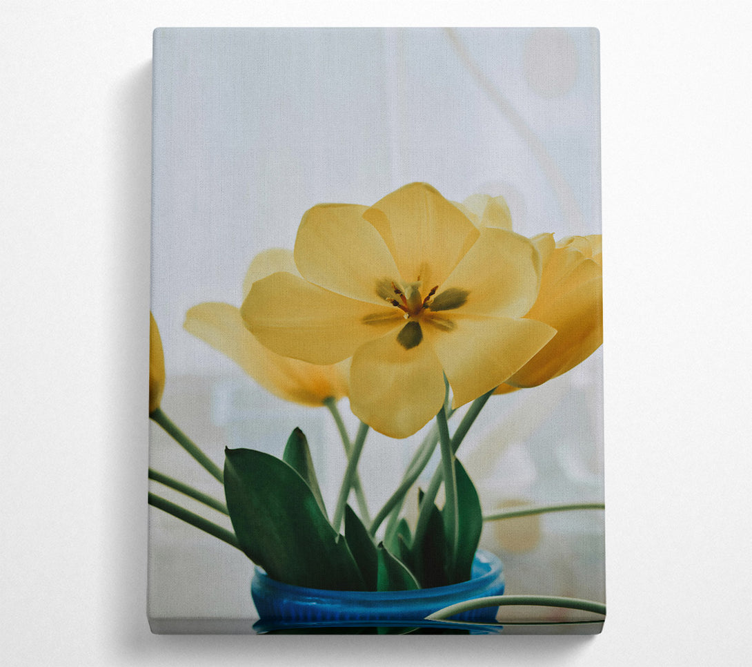  A Canvas Print of Pale Yellow Tulips Canvas Art