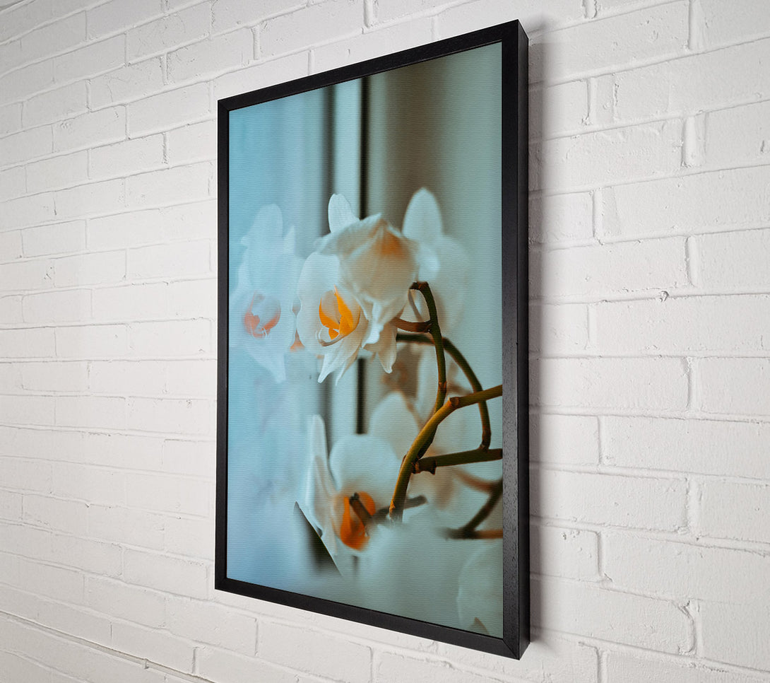  A Canvas Print of Pale Blue Orchids Canvas Wall Art