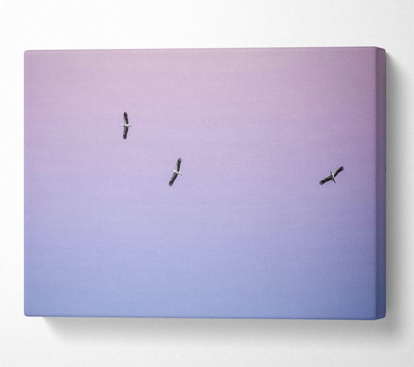 Lilac Sky Storks