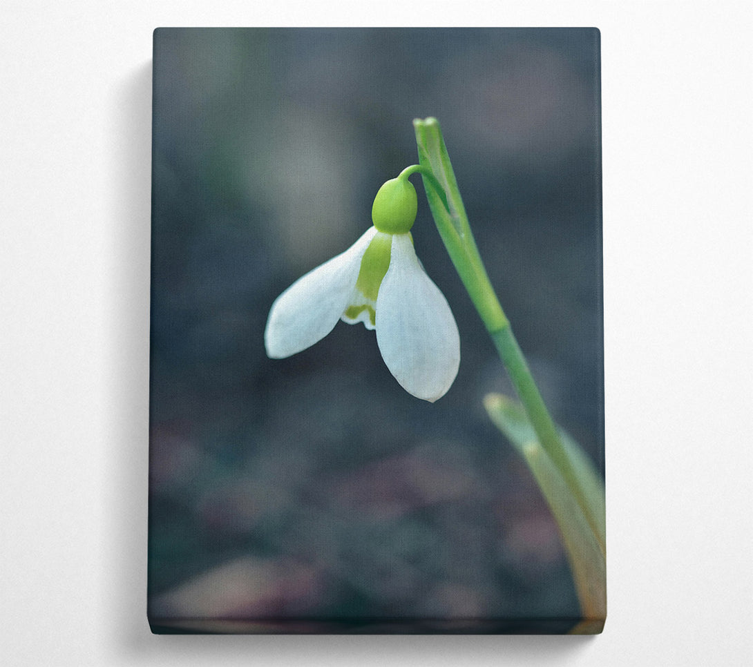  A Canvas Print of Loading... Canvas Print