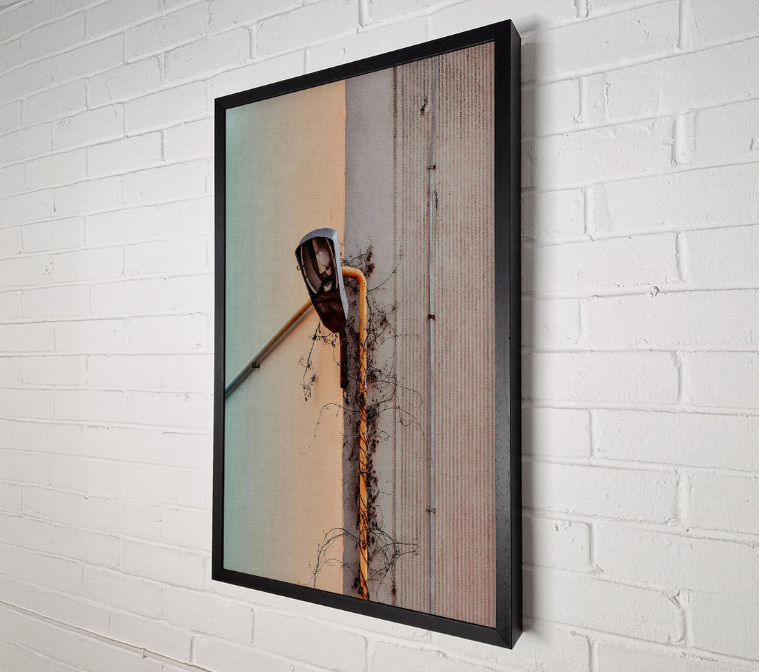  A Canvas Print of Yellow Vine And Lamppost Canvas Print