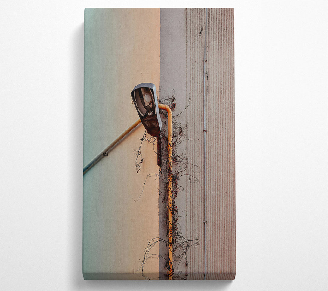  A Canvas Print of Yellow Vine And Lamppost Canvas Print