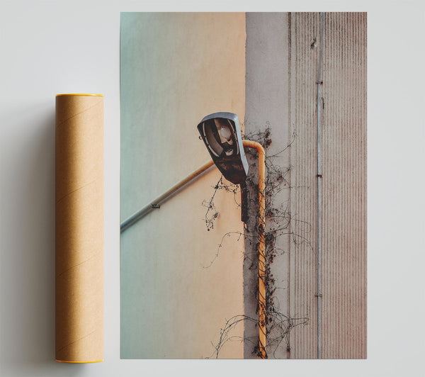 Yellow Vine And Lamppost Poster