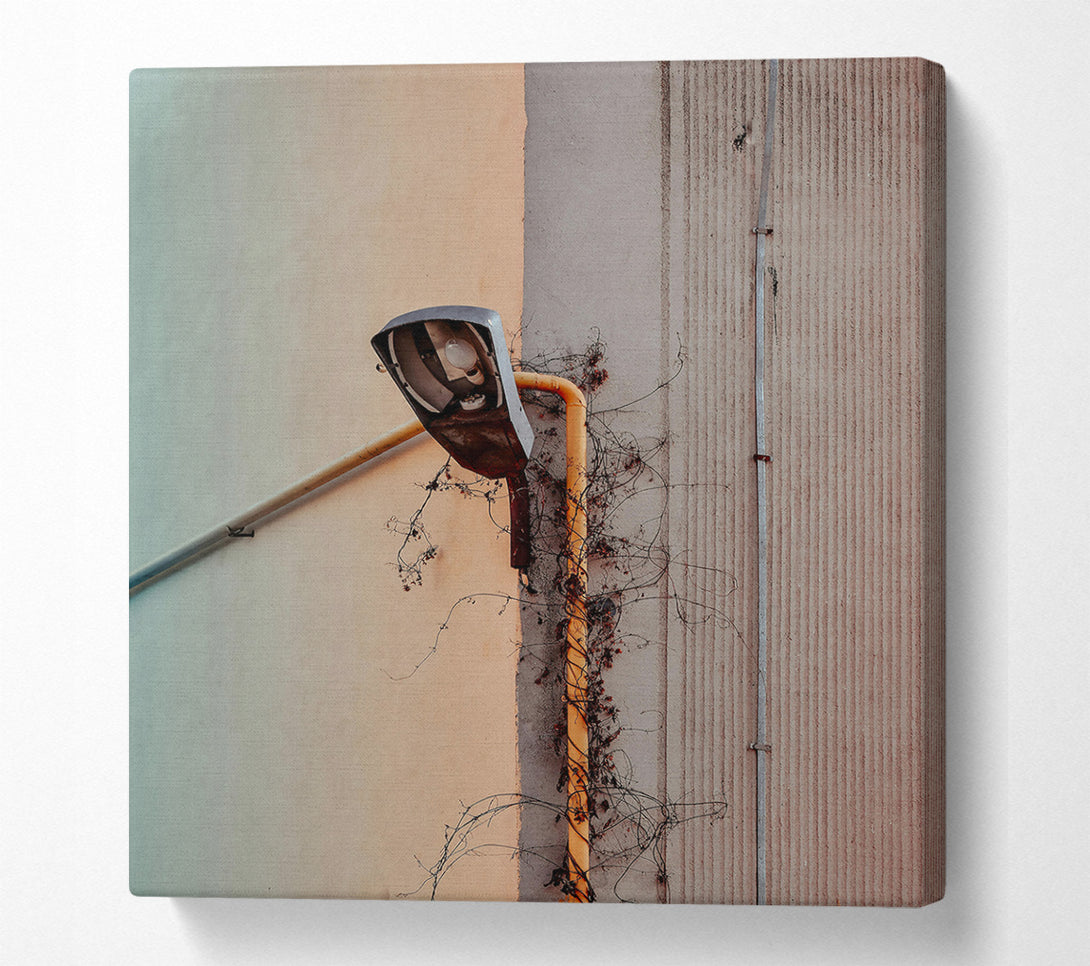  A Canvas Print of Yellow Vine And Lamppost Canvas Print