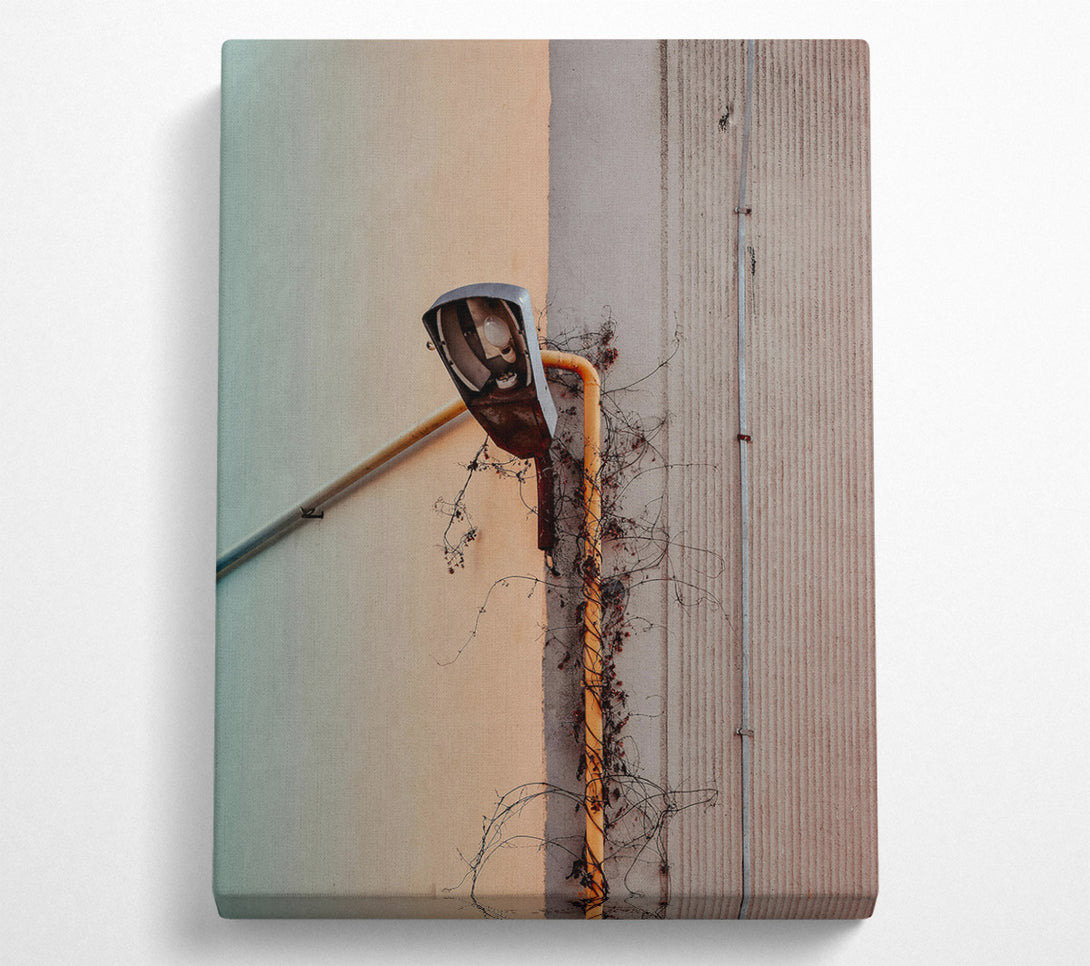  A Canvas Print of Yellow Vine And Lamppost Canvas Print