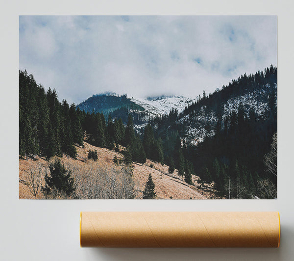 White-Capped Evergreen Hills Poster