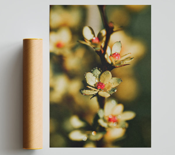 Yellow Dewy Bloom Print
