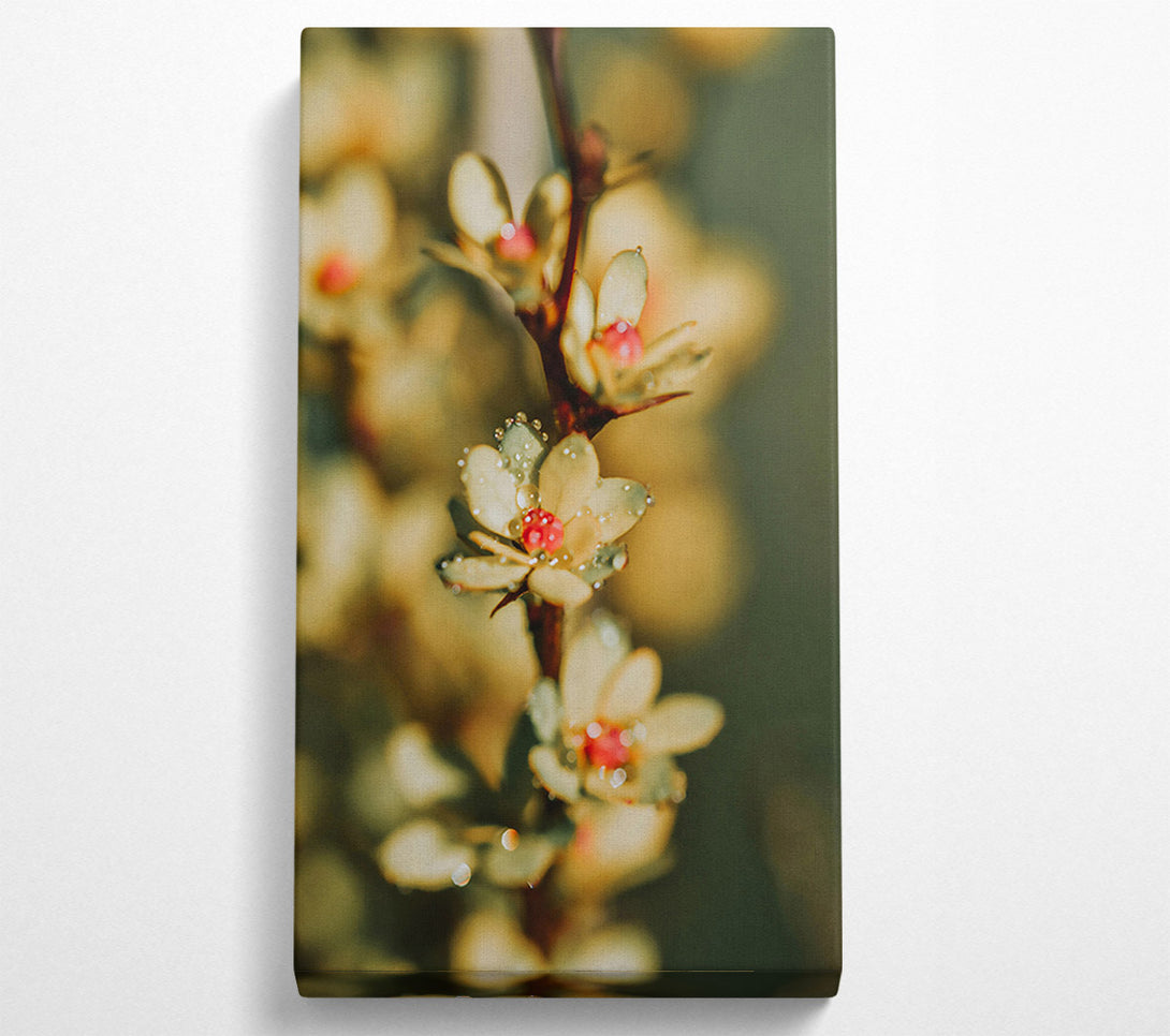  A Canvas Print of Dewy Yellow Bloom Canvas Art