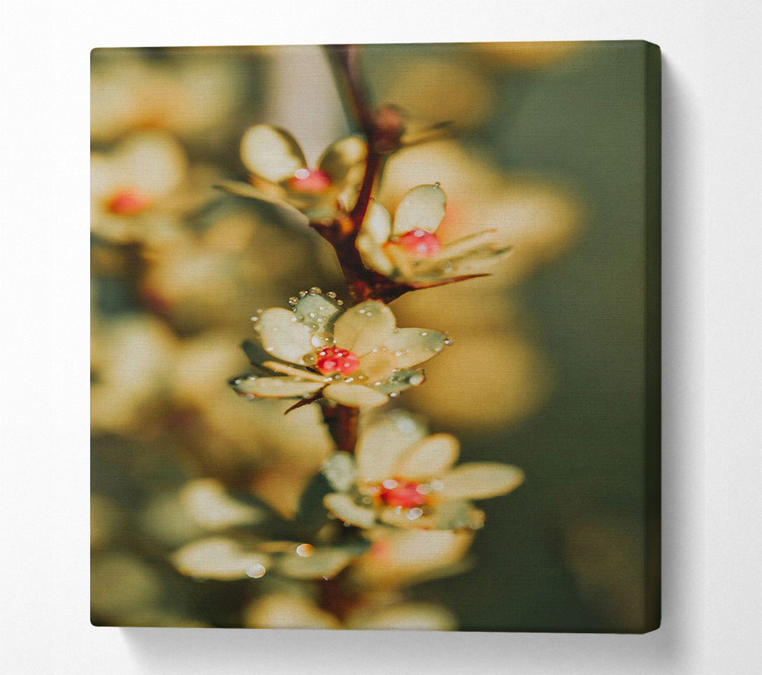  A Canvas Print of Dewy Yellow Bloom Canvas Art