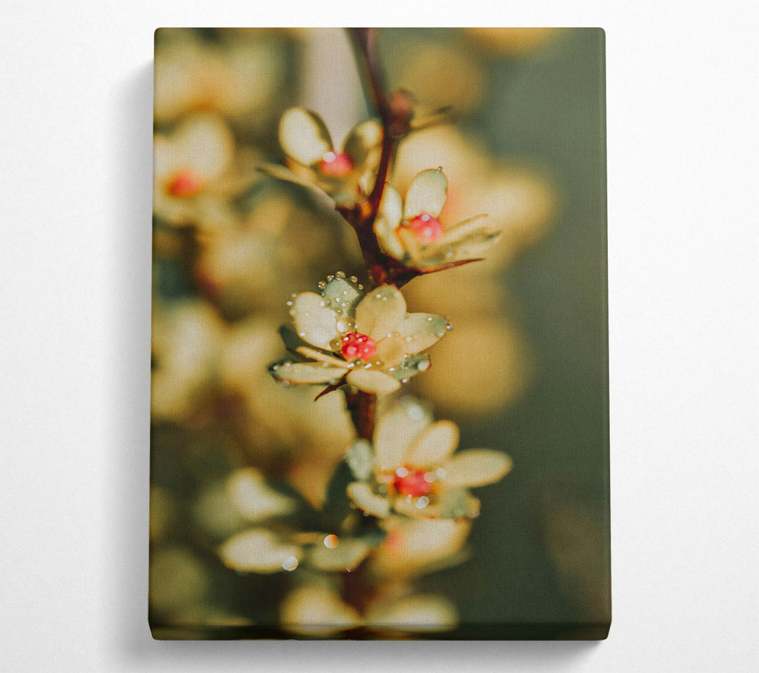  A Canvas Print of Dewy Yellow Bloom Canvas Art